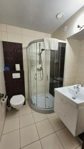a bathroom with a shower and a toilet and a sink at Villa Maritima in Grzybowo +18 photos
