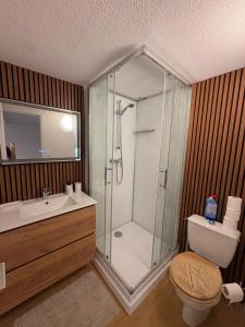 a bathroom with a shower and a toilet and a sink at Appartement porteteni in Vieux-Boucau-les-Bains