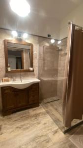 a bathroom with a shower and a sink and a mirror at Villa Manca in San Severino Lucano +58 photos