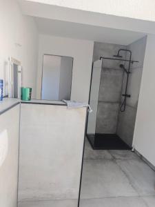 a bathroom with a shower in a room at Im Weidig in Obernburg am Main