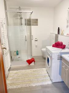 a bathroom with a shower and a washing machine at Charlottenhöhe Apartment in Rottweil +21 photos