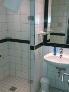 a bathroom with a shower and a sink and a toilet at Landgasthof Bei Kleins in Löhnberg