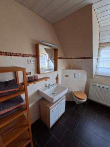 a bathroom with a sink and a toilet at Ferienwohnung am Vogelsteig in Pegnitz