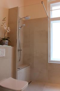 ein Bad mit Dusche, WC und Fenster in der Unterkunft Elbvilla Dresden in Dresden