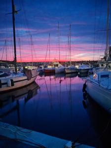 a group of boats docked in a marina at sunset at A casetta in Bastia