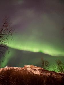 an aurora in the sky over a hill at Northern Suite in Tromsø