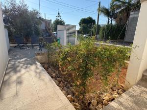 a yard with a fence and a bush next to a building at tata Uccio in Matino