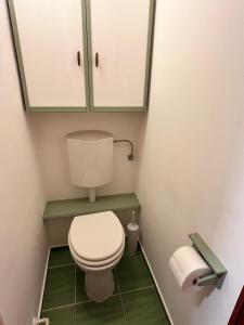 a small bathroom with a toilet and a mirror at Battaville Apartment in Százhalombatta