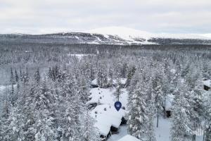 an aerial view of a forest with snow covered trees at HilleVilla by Holiday in Lapland in Ylläsjärvi