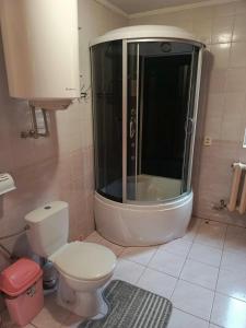 a bathroom with a toilet and a shower in it at Садиба На лужку in Lazeshchyna +7 photos