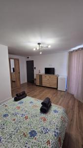 a bedroom with a bed and a dresser in a room at Complex Casa Morii in Orăştie