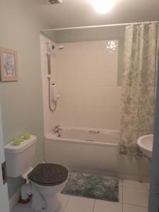 a bathroom with a tub and a toilet and a sink at Seville Grove in Kilkenny