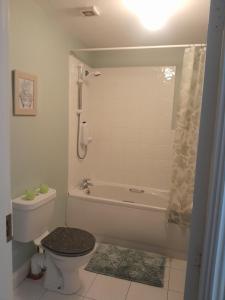 a bathroom with a toilet and a bath tub with at Seville Grove in Kilkenny