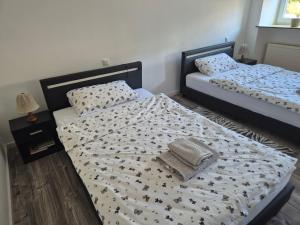a bedroom with two twin beds at MemaFerienwohnung in Gerolstein