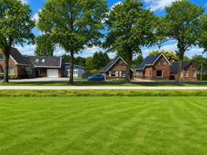 a group of houses with a green lawn at Feel-Fine Guesthouse in Nieuw-Buinen