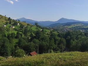 a view of a green hill with houses and trees at Садиба На лужку in Lazeshchyna