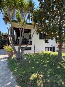 a house with two palm trees in the yard at Domus Martinae in Casal Palocco