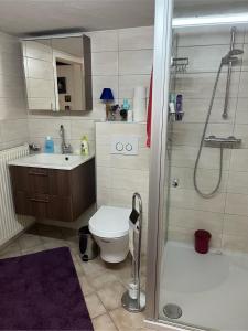 a bathroom with a shower and a toilet and a sink at Haus Schneebergblick in Röslau +30 photos