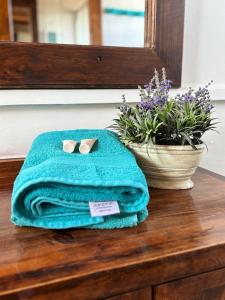 a towel sitting on top of a dresser with a mirror at Hostal Maitencillo Norte in Maitencillo +40 photos