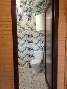 a bathroom with a toilet and a wall at WILD NEST Cottage  +6 photos