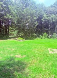 a field of green grass with trees in the background at Peace in Lake Hartwell in Hartwell