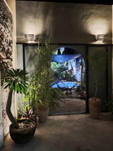 a room with potted plants and a large window at Casa Ramon Merida 2 BR AC Private Pool Centro in Mérida +20 photos