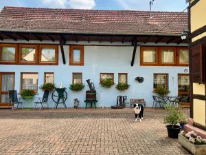 a dog standing in front of a white building at Mélodies d'Alsace in Lipsheim