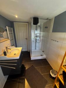 a bathroom with a sink and a shower at Ferienwohnung Gänsemarkt in Born