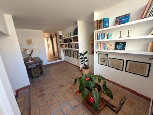 a living room with a plant and bookshelves at Piratas Do Morro Apartamento Praça in Morro de São Paulo