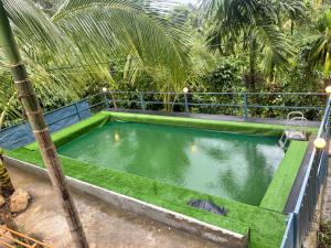 a swimming pool with green grass in a garden at KODIYADAN s INN A Homestay with a Heart in Meenangadi