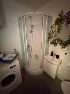 a bathroom with a shower and a sink and a washing machine at DiSte Apartman in Knin