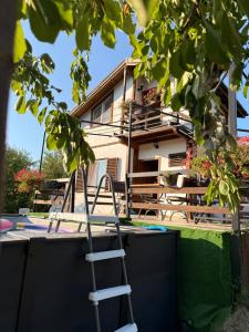 a ladder in a yard with a house at Вила Чочита in Trapeskovtsi +2 photos