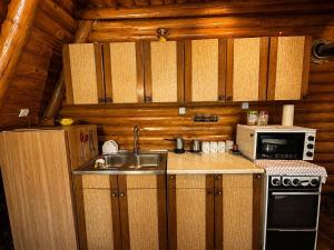 a kitchen with a sink and a microwave in a cabin at Komovi Sky House in Andrijevica