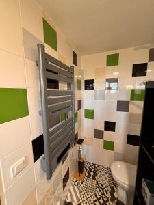 a bathroom with a toilet and green and white tiles at Le Refuge des Vignes in Sainte-Colombe