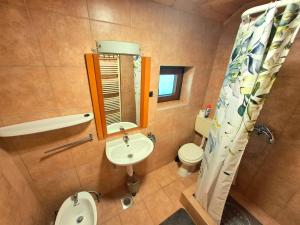 a bathroom with a sink and a toilet and a mirror at Zelena Dolina in Ćuić Brdo