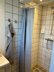 a shower with a blue shower curtain in a bathroom at Karensdal B & B in Uldum +44 photos