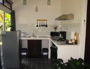 a kitchen with a sink and a counter top at Pino Lodge, Río Celeste in Bijagua +10 photos