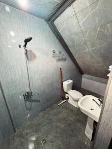 a bathroom with a shower and a toilet and a sink at Casa nostra in Ambrolauri +8 photos