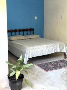 a bedroom with a bed and a potted plant at Aroeira Suite in Conceição da Barra