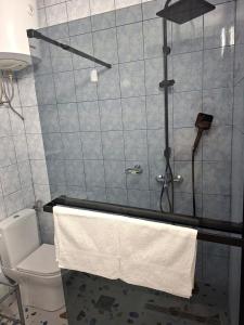 a bathroom with a shower with a toilet and towels at Apartmani KaLu in Mlini