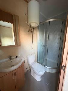 a bathroom with a toilet and a sink and a shower at Picon del Conde in Monasterio de Rodilla +29 photos