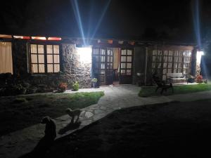 two dogs standing in front of a house at night at Posada Valentina in San Salvador de Jujuy
