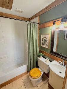 a bathroom with a toilet and a sink and a tub at Brooks Place in Deer Lake +5 photos