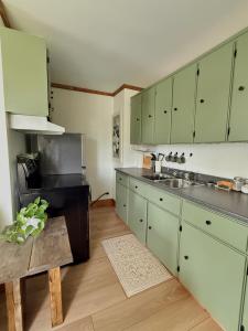 a kitchen with green cabinets and a sink and a table at Brooks Place in Deer Lake
