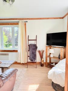 a living room with a tv and a couch at Brooks Place in Deer Lake