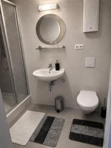 a bathroom with a sink and a toilet and a mirror at Pension Zum Rödereck in Zeithain