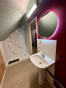 a bathroom with a sink and a shower and a mirror at Studio relax in Villeneuve-Saint-Georges