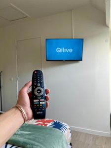 a person holding a remote control in front of a television at Studio relax in Villeneuve-Saint-Georges