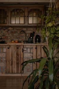 a kitchen with wooden cabinets and a plant at Domek na wyłączność w Otulinie Ojcowskiego Parku Narodowego in Wola Kalinowska