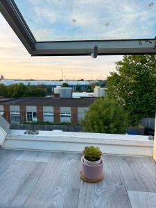 a plant in a pot sitting on a balcony at EazyStay in Avonmouth